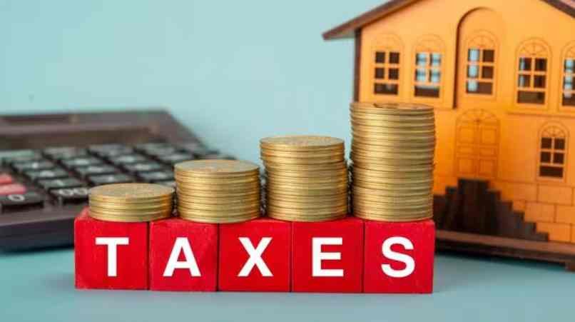 Income Tax Slabs Union Budget 2025